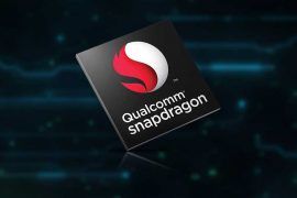 Snapdragon